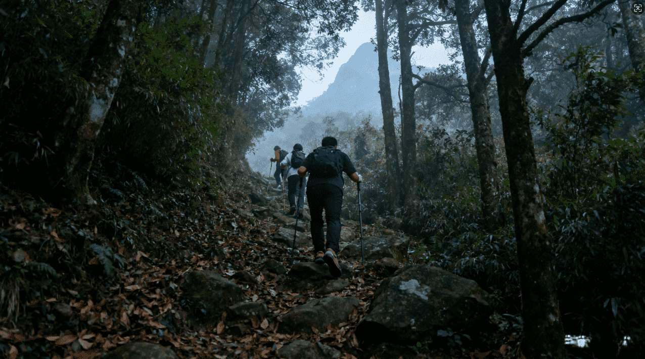 游戏加速器与梯子哪个好,游戏加速器与梯子稳定性和速度评比，真实用户使用反馈